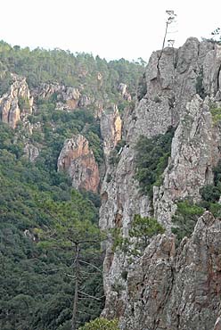 Gorges du Blavet - Felsen